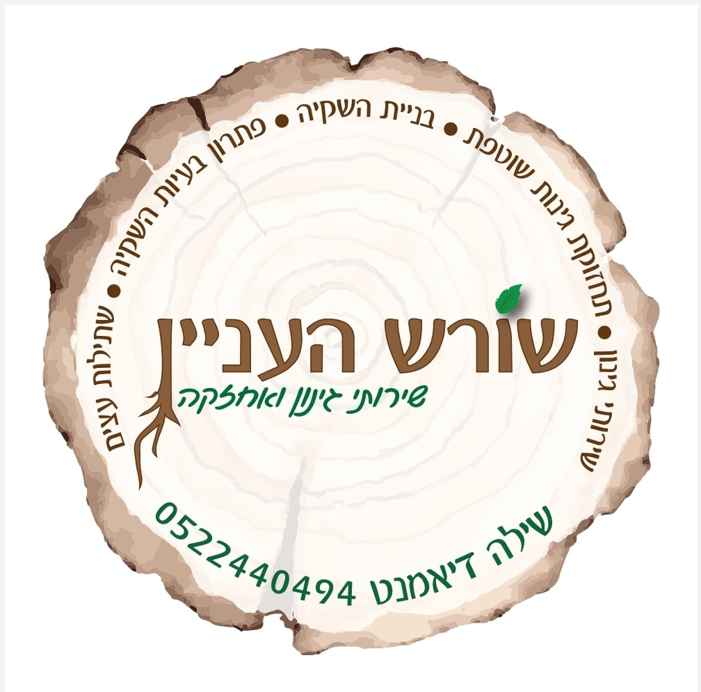 תמונת העסק שורש העניין